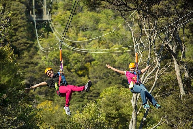 Waiheke Island: Zipline And Forest Walk - Value and price: what $92.47 buys you (and what it doesn’t)