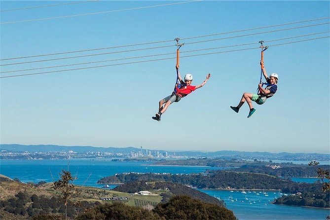 Waiheke Island: Zipline And Forest Walk - Weather, clothing, and the kind of comfort you should expect