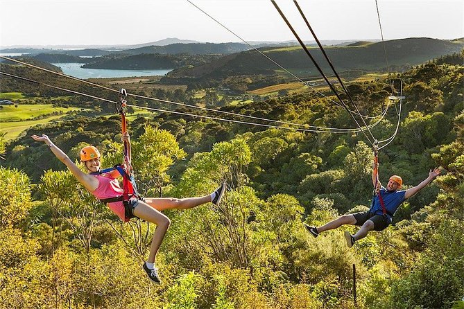 Waiheke Island: Zipline And Forest Walk - Who should book this zipline-and-forest combo