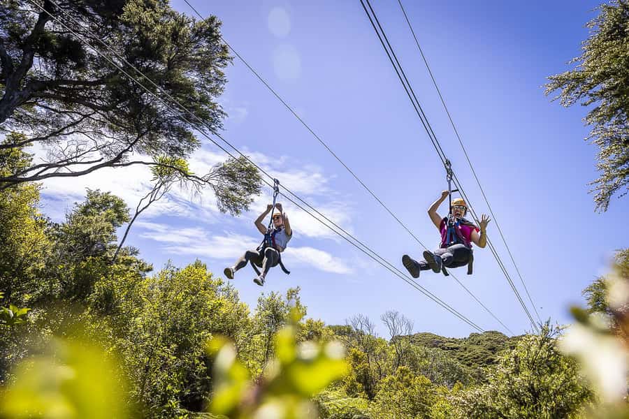Waiheke Island: Zipline and Native Forest Adventure Trip - Key things to know before you fly