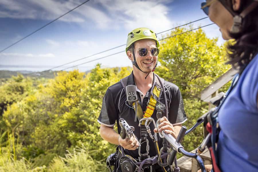 Waiheke Island: Zipline and Native Forest Adventure Trip - Should you book the EcoZip Waiheke zipline trip?