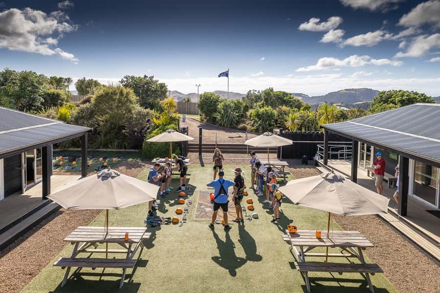 Waiheke Island: Zipline and Native Forest Adventure Trip - The Waiheke mini-tour: luxury beaches and a reality check drive-by