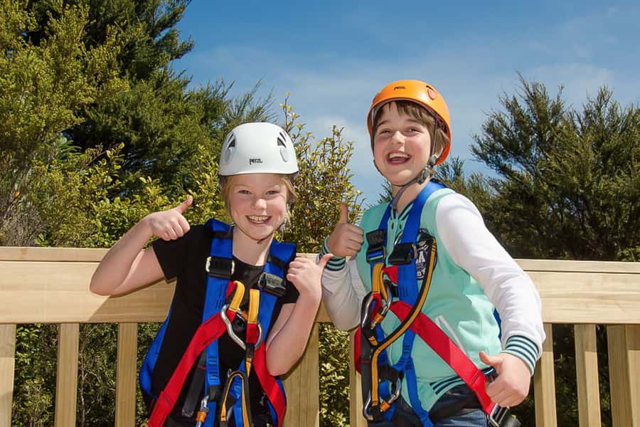 Waiheke Island: Zipline and Native Forest Adventure Trip - Safety, weight limits, and the rules that matter