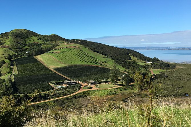 Waiheke Wine and Dine - Batch Winery - Price and Value: What $98.67 Buys You on Waiheke