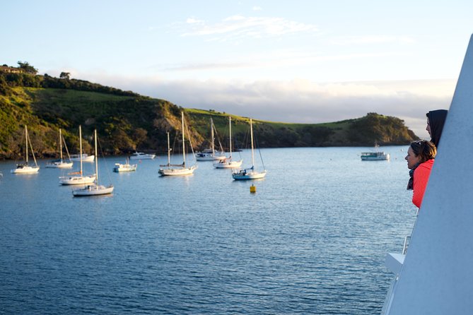 Waiheke Wine and Dine - Batch Winery - Wine Tastings Across the Day: Pours, Variety, and the View Factor