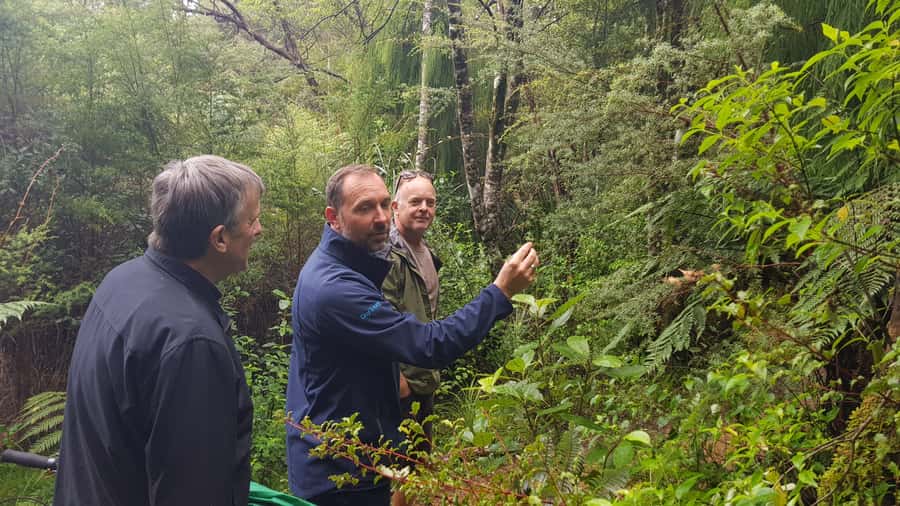 Waitakere Ranges Wilderness Experience Tour from Auckland - Getting Out of Downtown Fast: The West-Coast Rhythm