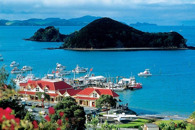 Waitangi Treaty Ground Day Trip Private Transport From Auckland - Key highlights you’ll actually notice