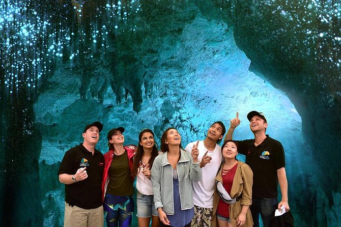 Waitomo Caves & Hobbiton Small Group Tour inc Lunch from Auckland - Price and value: what you’re really paying for
