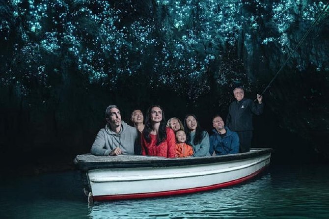 Waitomo Caves Private Driver for Tour - Key highlights to know before you go