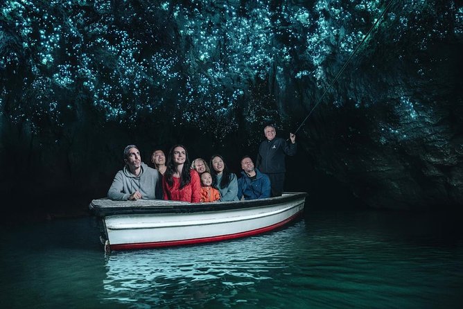 Waitomo Caves Private Driver for Tour - Your private driver: what to look for and who you’ll likely hear from