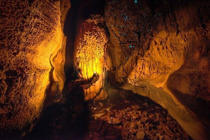 Waitomo Caves Private Tour from Auckland - Getting from Auckland to Waitomo in One Day