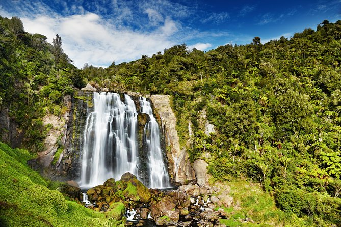 Waitomo Caves Private Tour from Auckland - Cathedral Cave: The Walk Beyond the Main Glowworm Area