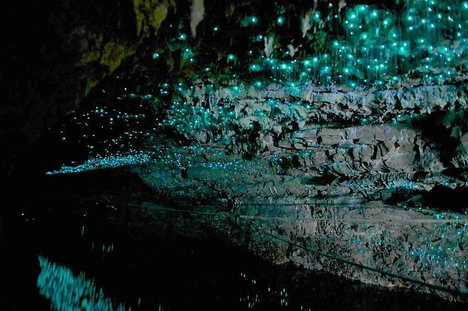 Waitomo Caves Private Tour from Auckland - Timing, What to Pack, and How to Keep the Day Smooth