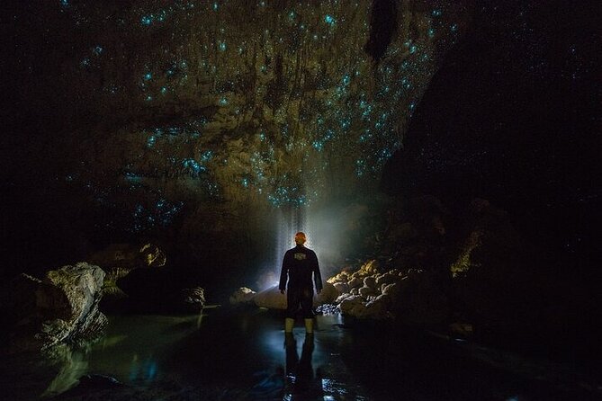 Waitomo Glow Worm Caves - Key Things to Know Before You Go