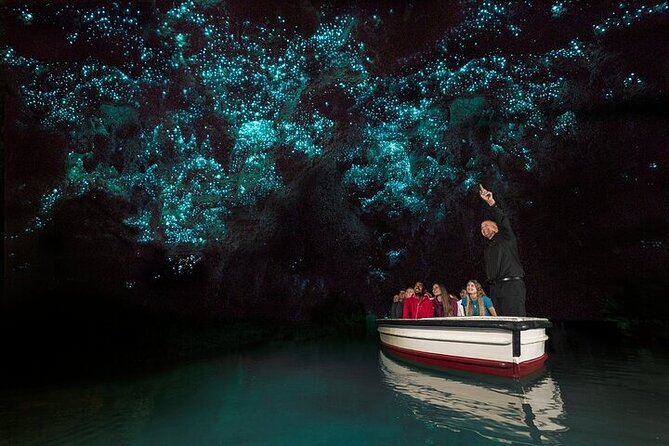 Waitomo Glow Worm Caves - Auckland to Waitomo by Van: The Drive Is Part of the Plan