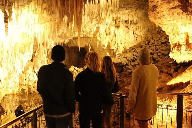 Waitomo Glow Worm Caves - Short Booking Check: What to Do Before You Commit