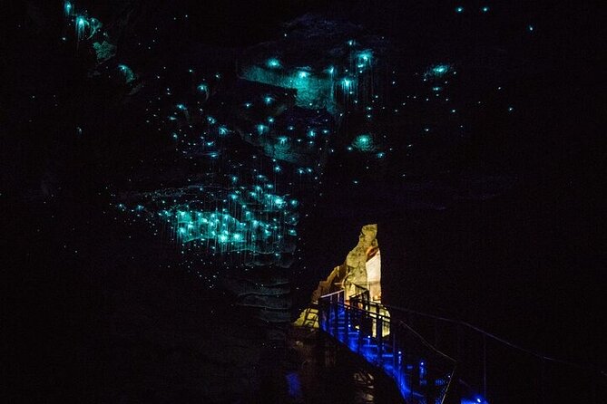 Waitomo Glow Worm Caves - The One-Hour Glowworm Cave Tour: The Part You Came For