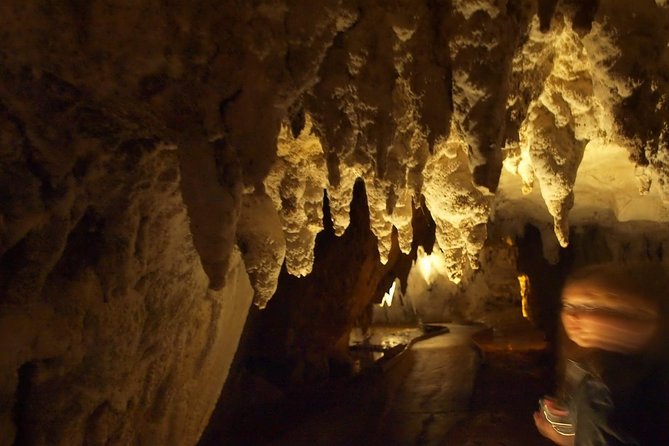 Waitomo Glowworm Caves In a Private Small Group Tour-Auckland. - Private Small-Group Pickup From Auckland (and Why It Changes the Day)