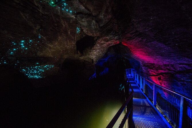 Waitomo Glowworm & Ruakuri Twin Cave Experience - Small Group Tour From Auckland - Key points before you book