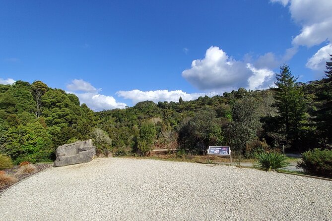 Waitomo Glowworm & Ruakuri Twin Cave Experience - Small Group Tour From Auckland - Waitomo Glowworm Caves: silent boat time and the Cathedral Cave moment