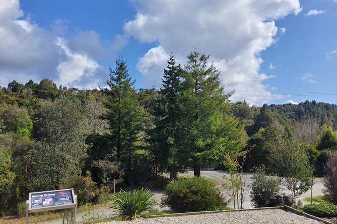 Waitomo Glowworm & Ruakuri Twin Cave Experience - Small Group Tour From Auckland - Guides make the day: Marty, Lulu, Ama, Karthik, and Lockey vibes
