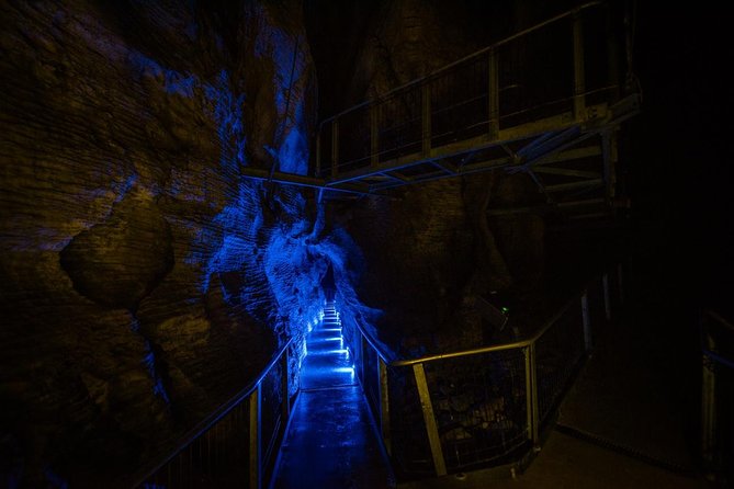 Waitomo Glowworm & Ruakuri Twin Cave Experience - Small Group Tour From Auckland - The early Auckland pickup and road breaks you’ll actually need