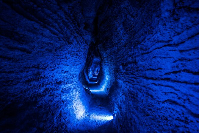 Waitomo Glowworm & Ruakuri Twin Cave - Private Tour From Auckland - A Full-Day Auckland to Waitomo Plan That Doesn’t Feel Like a Project