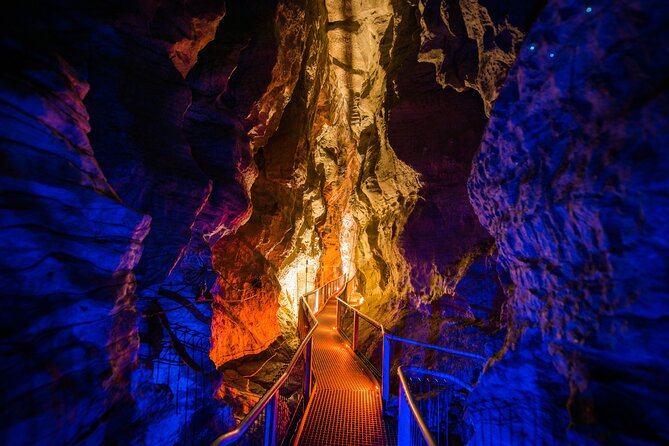 Waitomo Glowworm & Ruakuri Twin Cave - Private Tour From Auckland - Should You Book? My Practical Recommendation