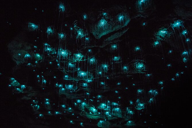 Waitomo Glowworm & Ruakuri Twin Cave Small Group Tour Ex-Auckland - Key highlights to know before you go