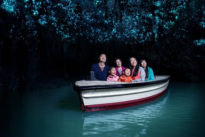 Waitomo Glowworm & Ruakuri Twin Cave Small Group Tour Ex-Auckland - A long Auckland-to-Waikato day that stays organized