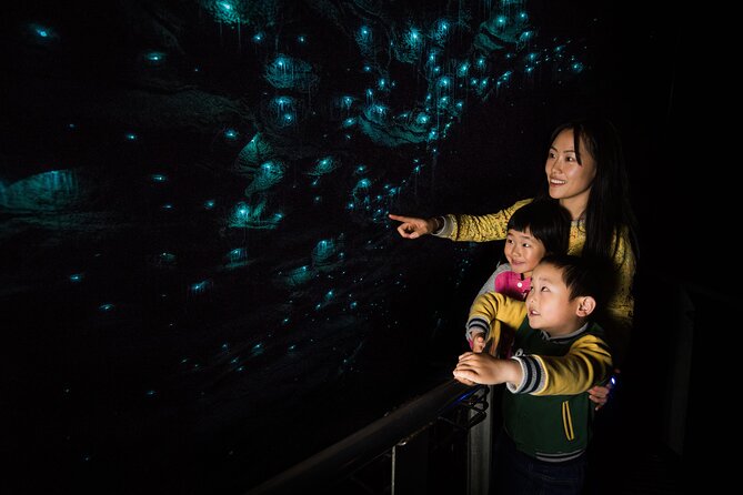 Waitomo Glowworm & Ruakuri Twin Cave Small Group Tour Ex-Auckland - Timing and drive reality: where the hours actually go