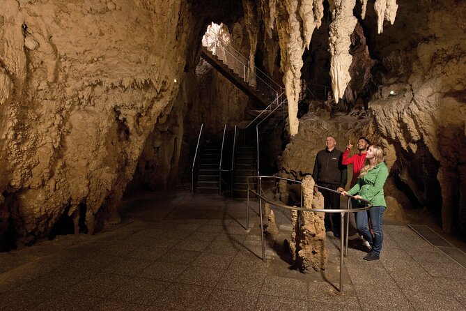 Waitomo Glowworm & Ruakuri Twin Cave Small Group Tour Ex-Auckland - Why the guides matter: Ama and Karthik set the tone