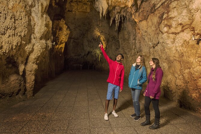 Waitomo Glowworm & Ruakuri Twin Cave Small Group Tour Ex-Auckland - Price and value: $213.89 adds up when you count everything