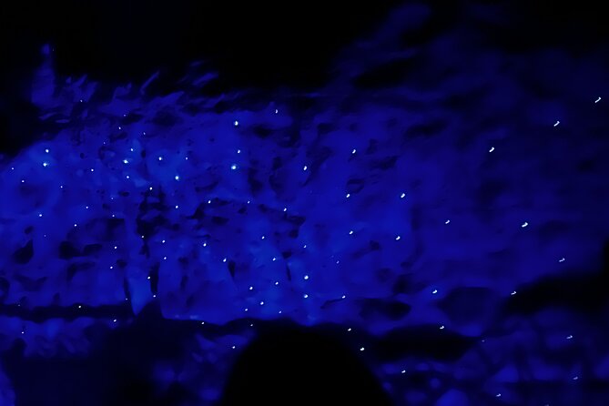 WAITOMO - Twin Caves Discovery - Private Day Tour from Auckland - Waitomo Homestead: your mid-day refuel between caves