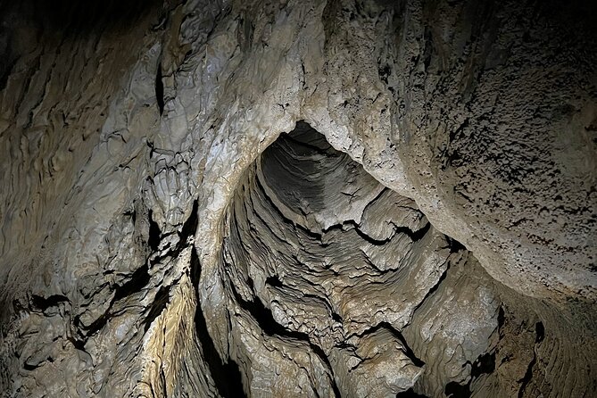 WAITOMO - Twin Caves Discovery - Private Day Tour from Auckland - Who should book this twin caves day tour (and who should consider another plan)