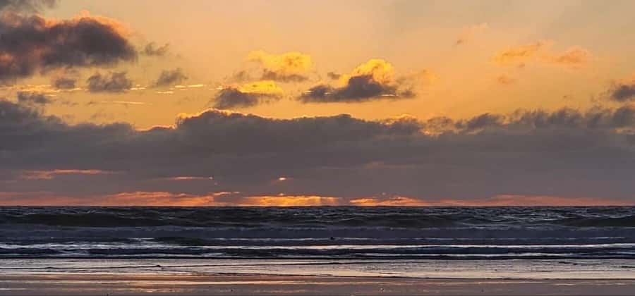 West Auckland: Sunset with Thermal pool & Wine Tasting - The Guide Factor: Why Clear Communication Makes a Difference