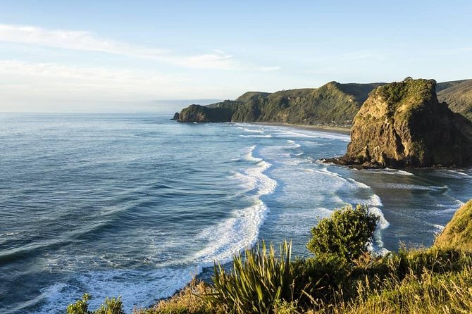 West Coast Discovery - Piha Beach or Muriwai Beach from Auckland - Key things I’d plan around