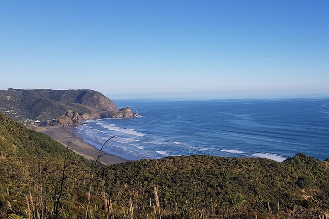 West Coast Discovery - Piha Beach or Muriwai Beach from Auckland - Piha Beach: black iron sand and serious surf energy