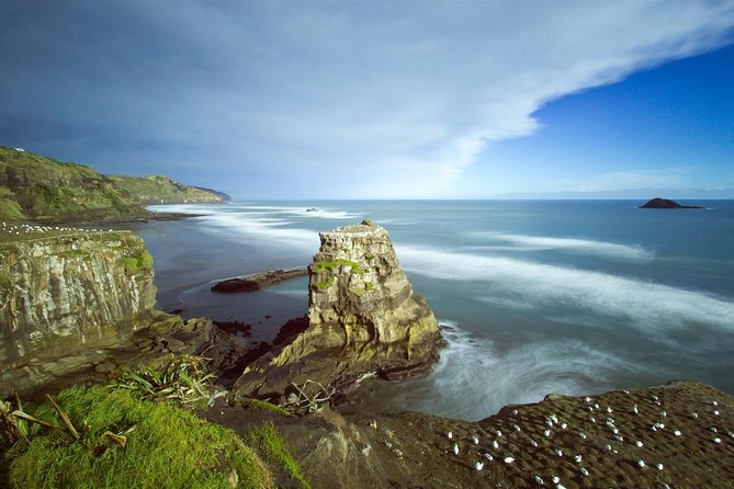 West Coast Discovery - Piha Beach or Muriwai Beach from Auckland - Should you book West Coast Discovery from Auckland?