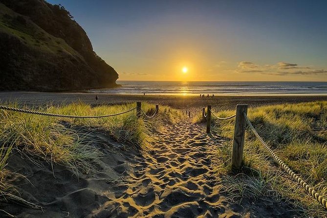 West Coast Discovery - Piha Beach or Muriwai Beach from Auckland - Muriwai Gannet Colony: seabird watching with a wild coastline view