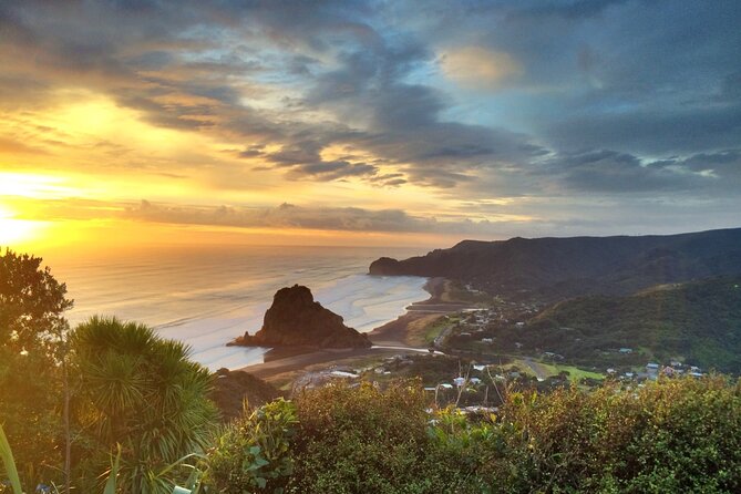 West Coast Discovery Piha Beach Private Tour - Old Winery Wine Tasting and Lunch: Tasty Ending Without the Slog