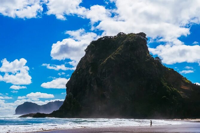 West Coast Discovery Piha Beach Private Tour - Price and Value: Is $351.80 per Person Worth It?