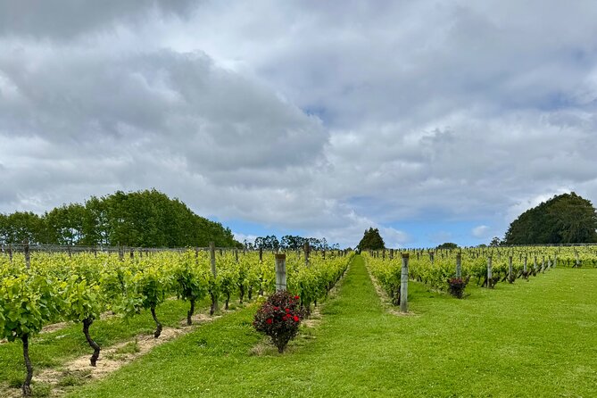 Wineries / Brewery - Tips to get better tastings and smarter purchases